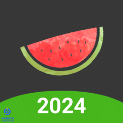 Melon VPN cover 2024