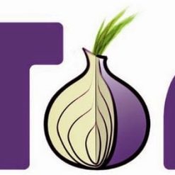 Tor-2BBrowser-2BBundle-2B4.0.1-2BFinal