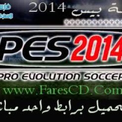 pes-2014