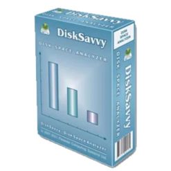 تحميل برنامج Disk Savvy لحذف الملفات الغير ضرورية من الكمبيوتر