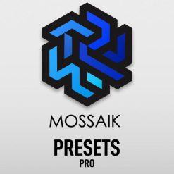 تحميل برنامج Mossaik Presets Pro للتعديل على الصور بسهولة وإحترافية